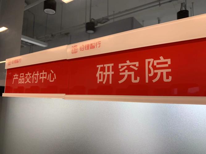 丁洋,公司经营范围包括:一般项目:技术服务,技术开发,技术