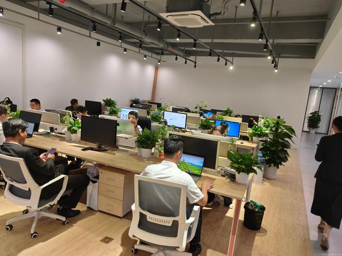 新技术成立于2024年01月11日,经营范围包括技术服务